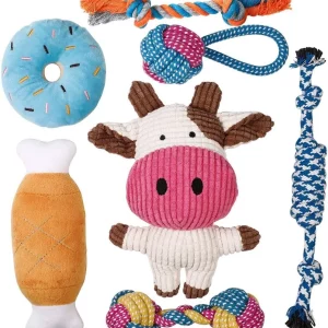 Jouets pour chiot